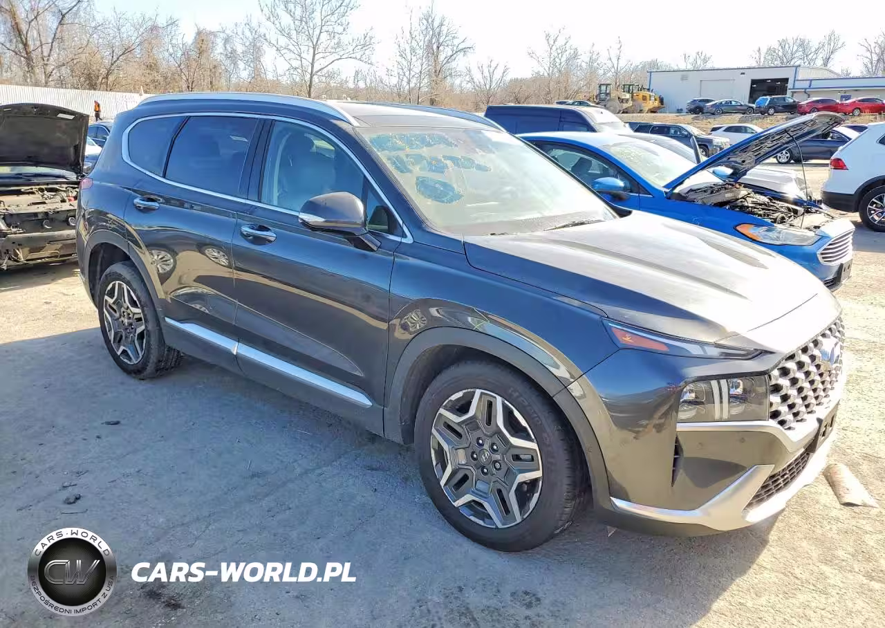 2021 Hyundai Santa Fe Limited VIN:5NMS44ALXMH319179 - 4