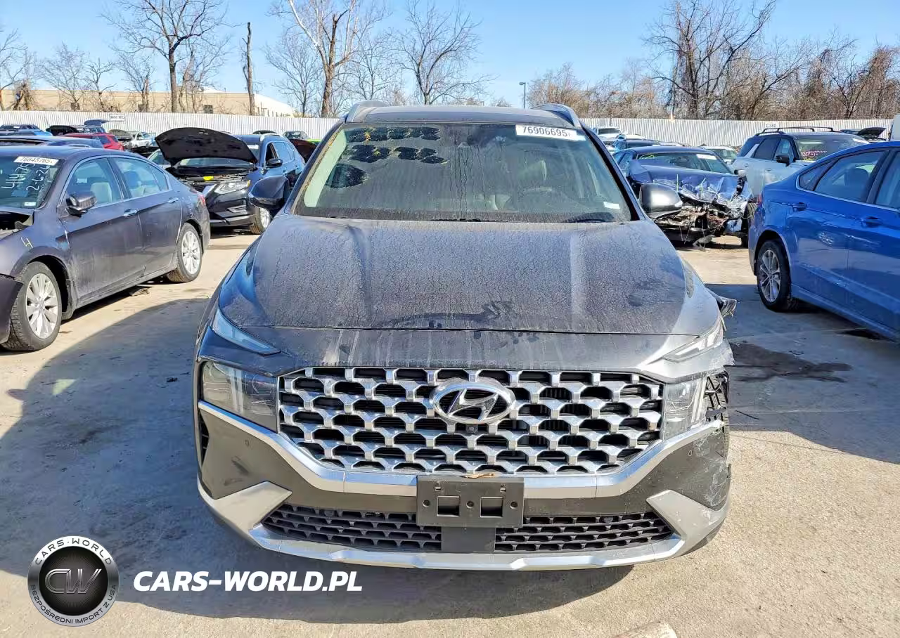 2021 Hyundai Santa Fe Limited VIN:5NMS44ALXMH319179 - 5