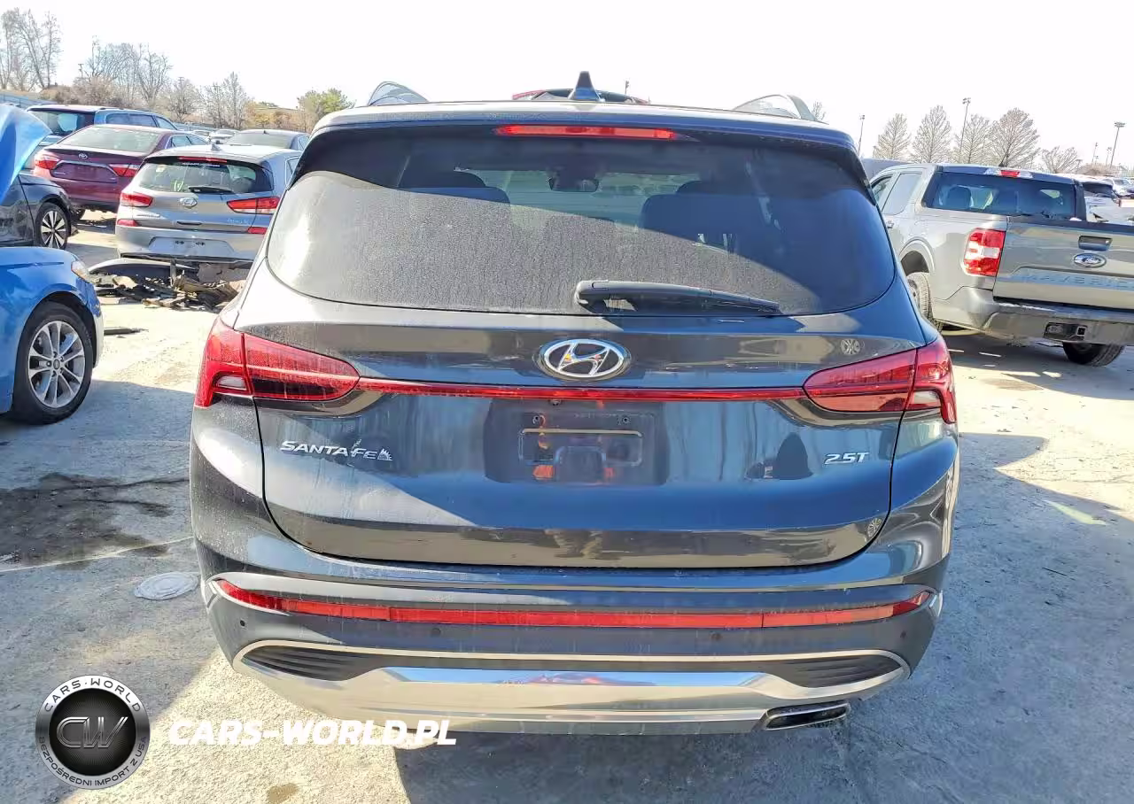 2021 Hyundai Santa Fe Limited VIN:5NMS44ALXMH319179 - 6