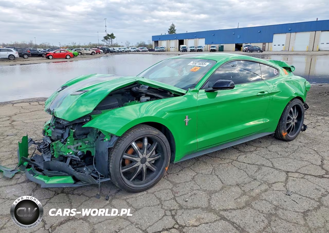 2019 Ford Mustang