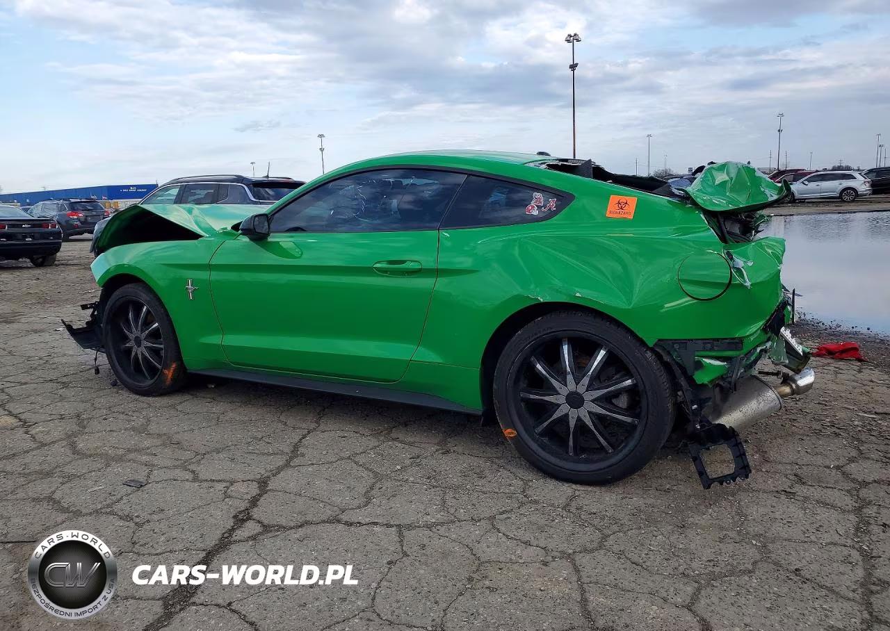 2019 Ford Mustang VIN:1FA6P8TH1K5147591 - 2