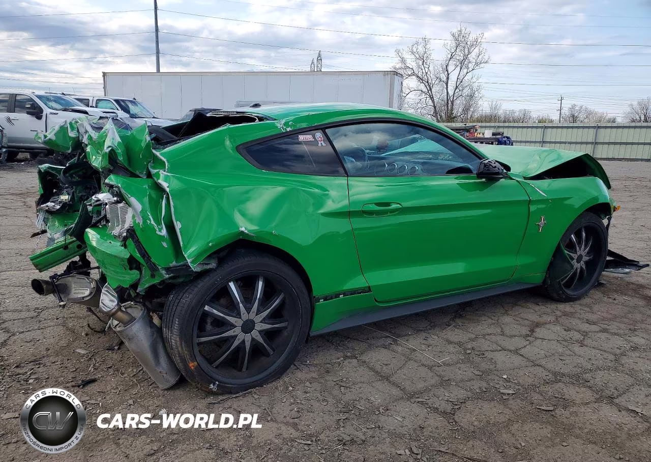 2019 Ford Mustang VIN:1FA6P8TH1K5147591 - 3