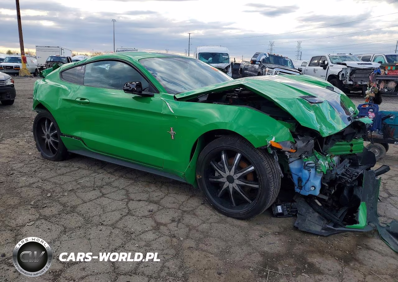 2019 Ford Mustang VIN:1FA6P8TH1K5147591 - 4