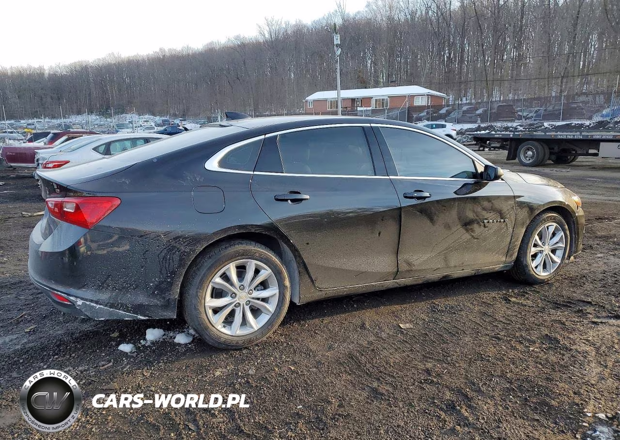 2023 Chevrolet Malibu Lt VIN:1G1ZD5ST1PF144365 - 3
