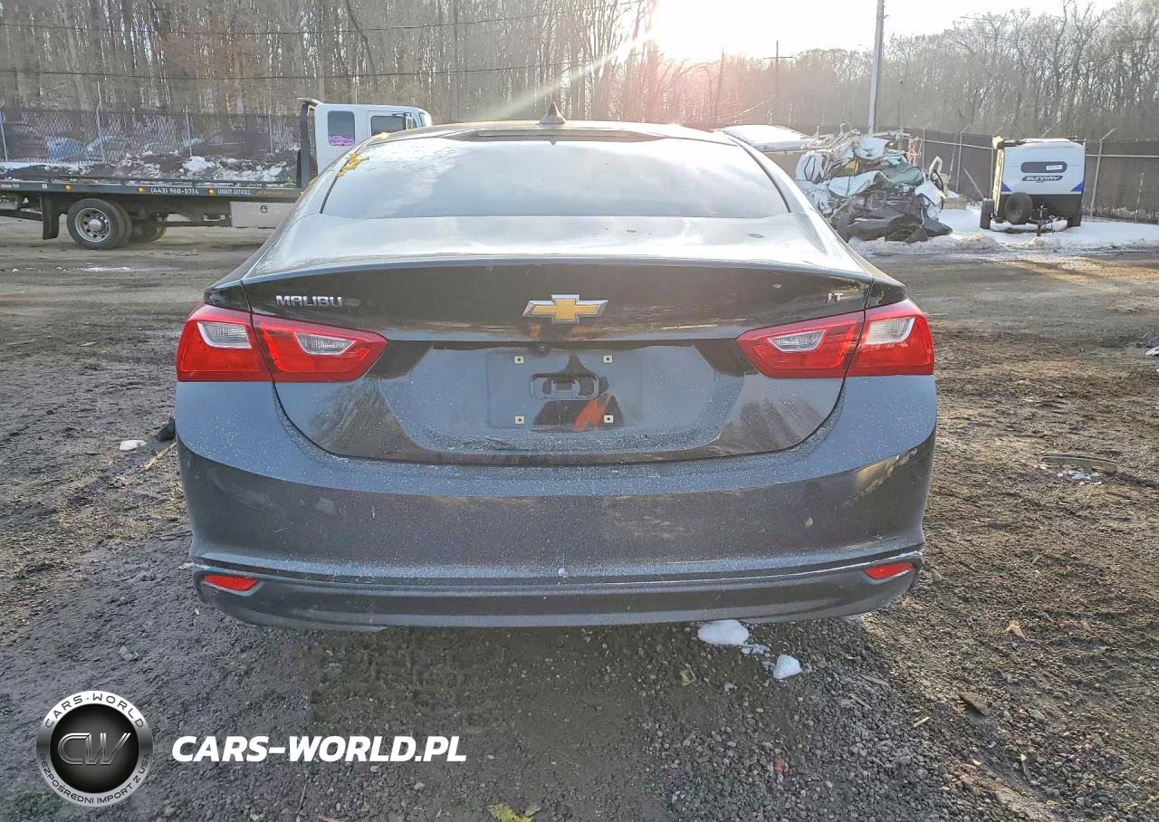 2023 Chevrolet Malibu Lt VIN:1G1ZD5ST1PF144365 - 6