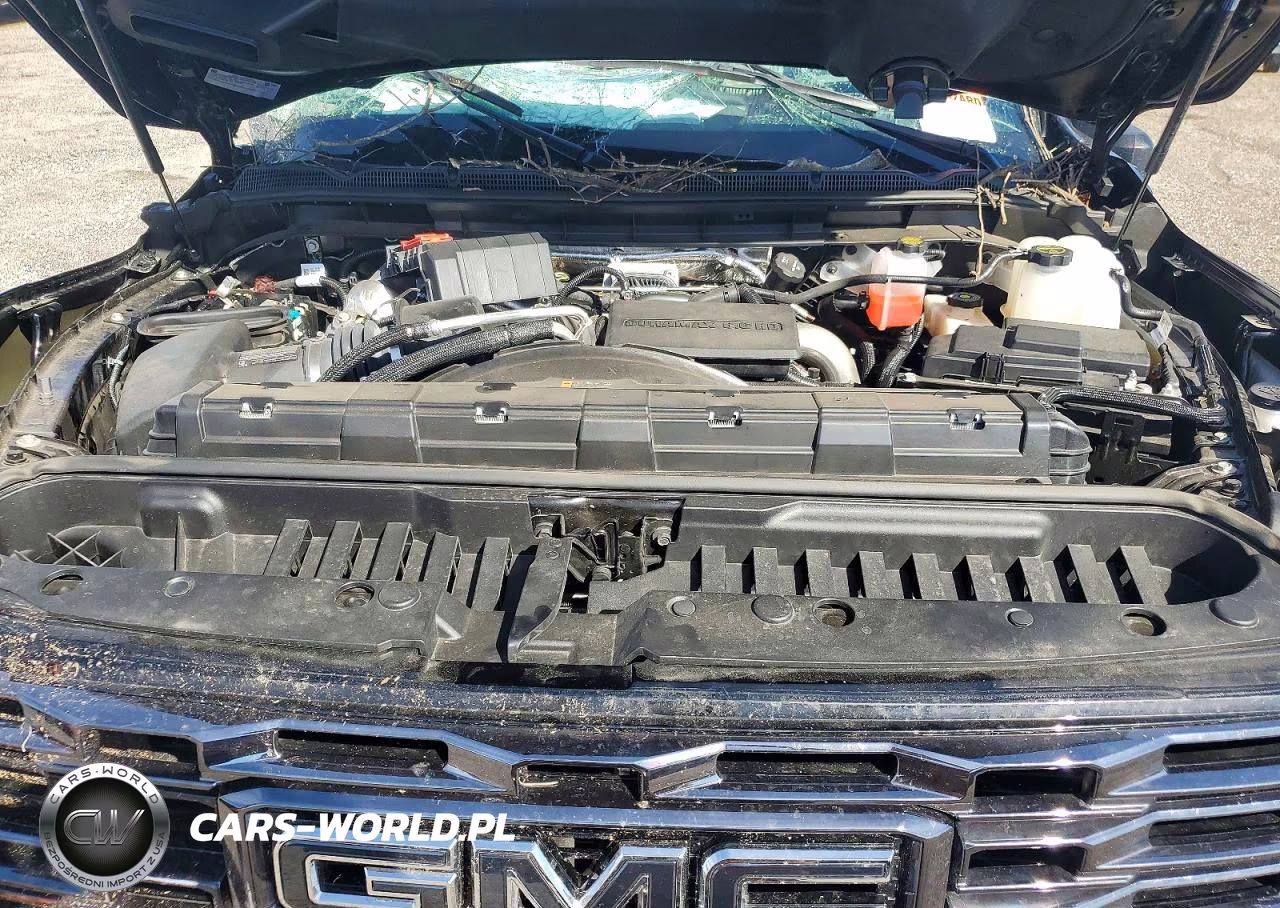 2025 GMC Sierra K2500 Denali Ultimate VIN:1GT4UXEY7SF326004 - 11