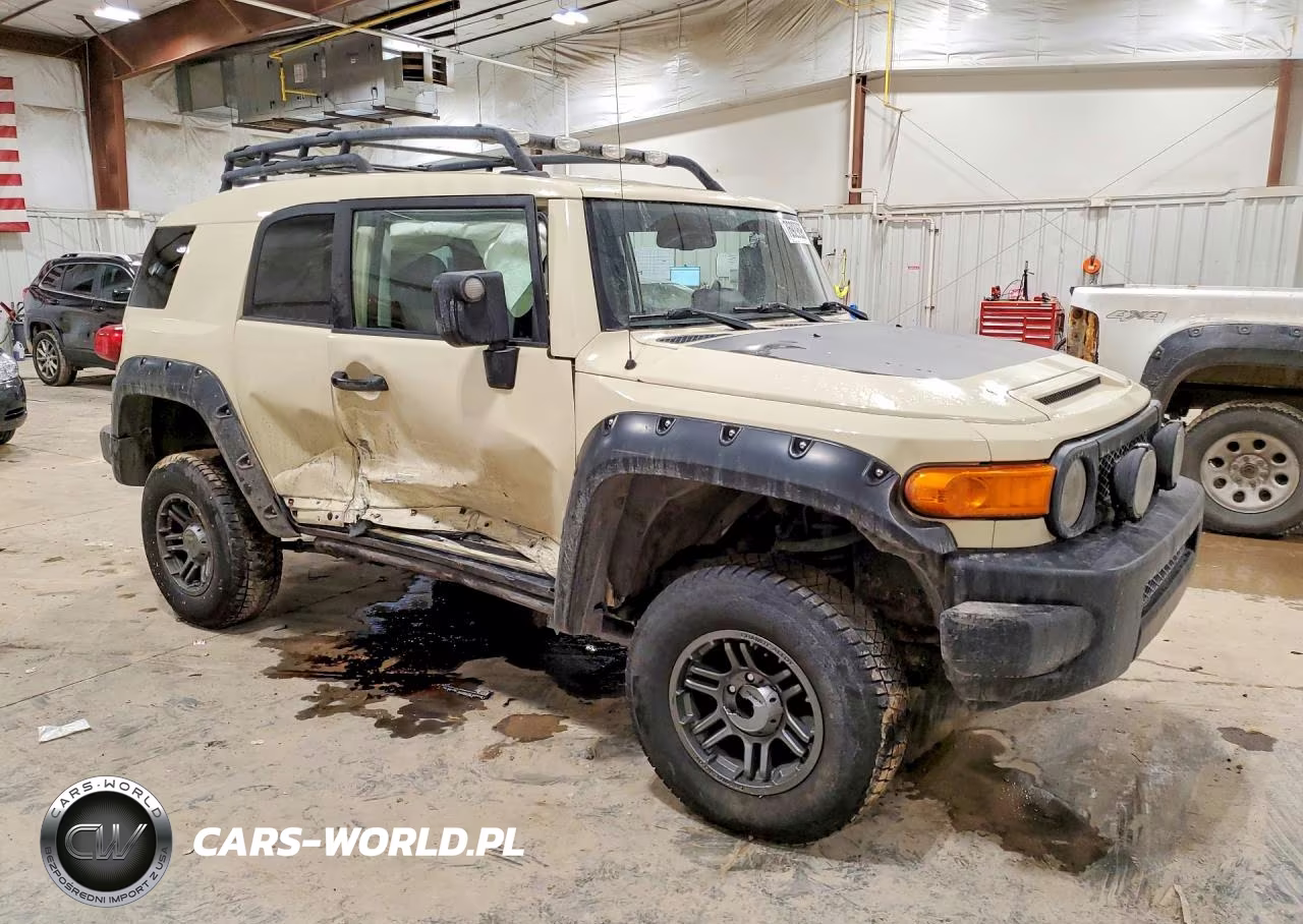 2010 Toyota Fj Cruiser VIN:JTEBU4BF8AK080140 - 4