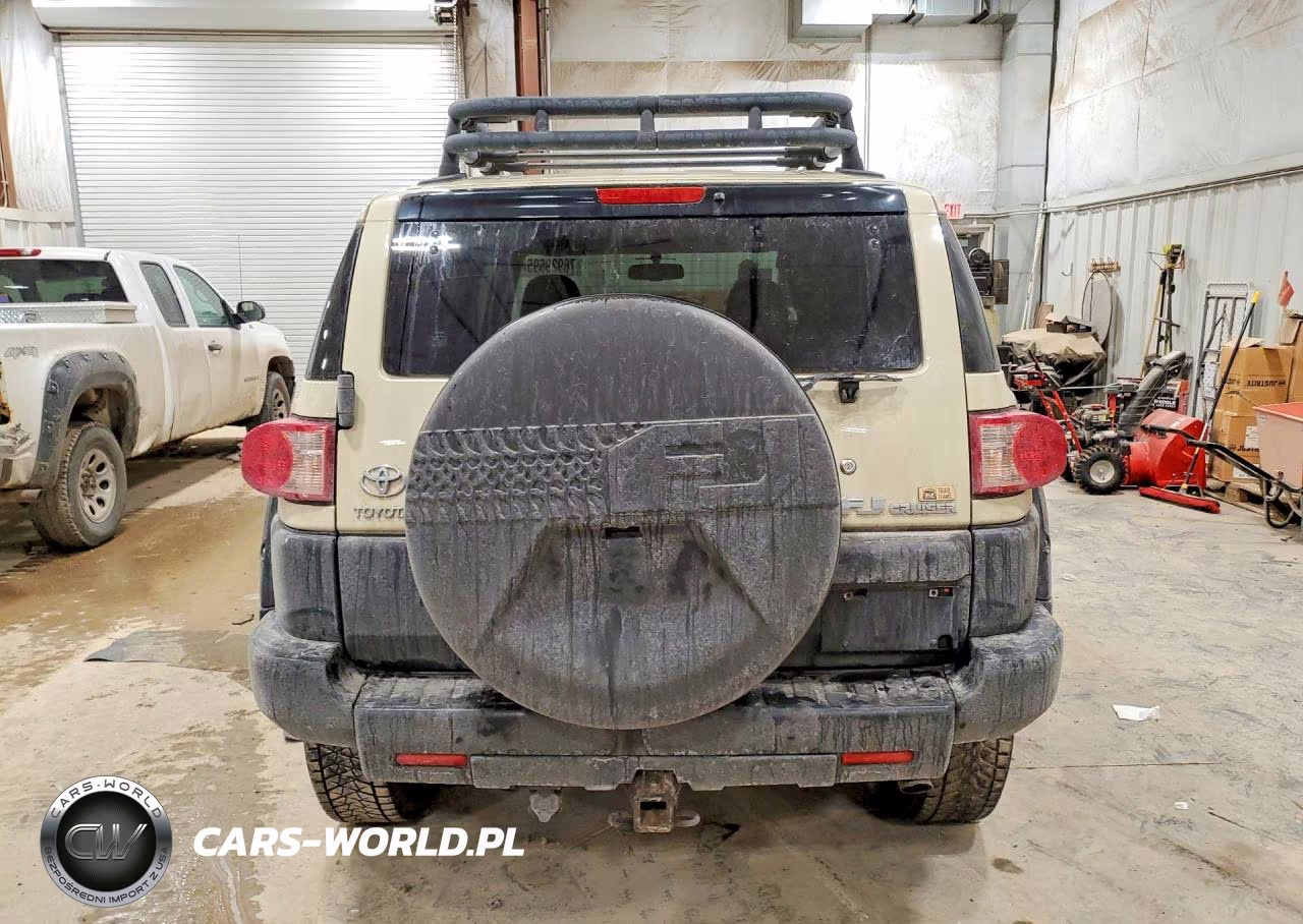 2010 Toyota Fj Cruiser VIN:JTEBU4BF8AK080140 - 6