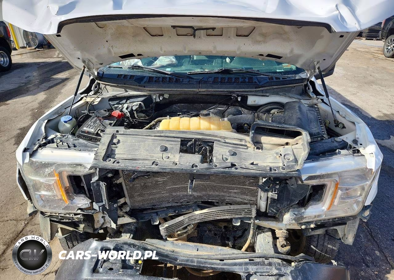 2020 Ford F150 VIN:1FTMF1CB7LKD01926 - 11