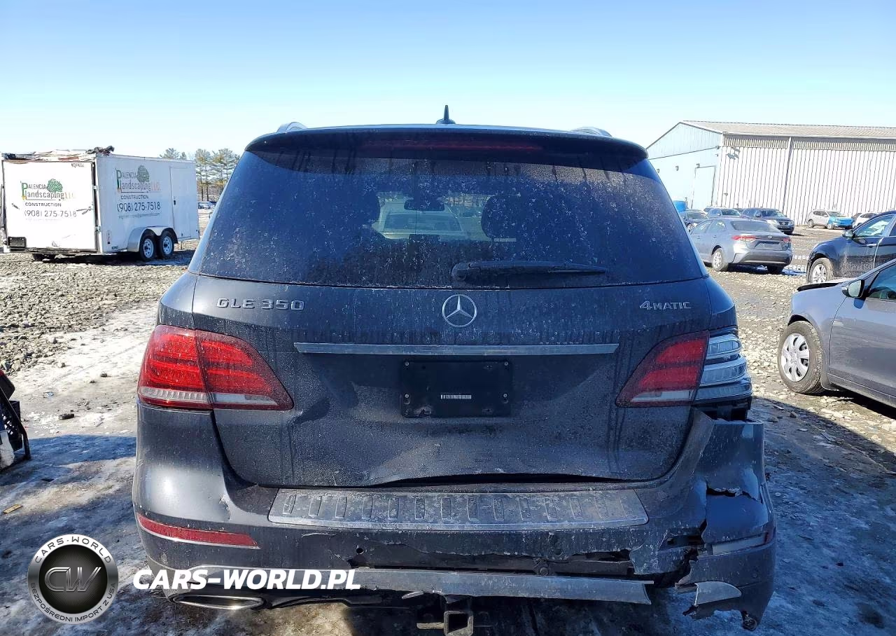 2016 Mercedes-Benz Gle 350 4Matic VIN:4JGDA5HB9GA739949 - 6