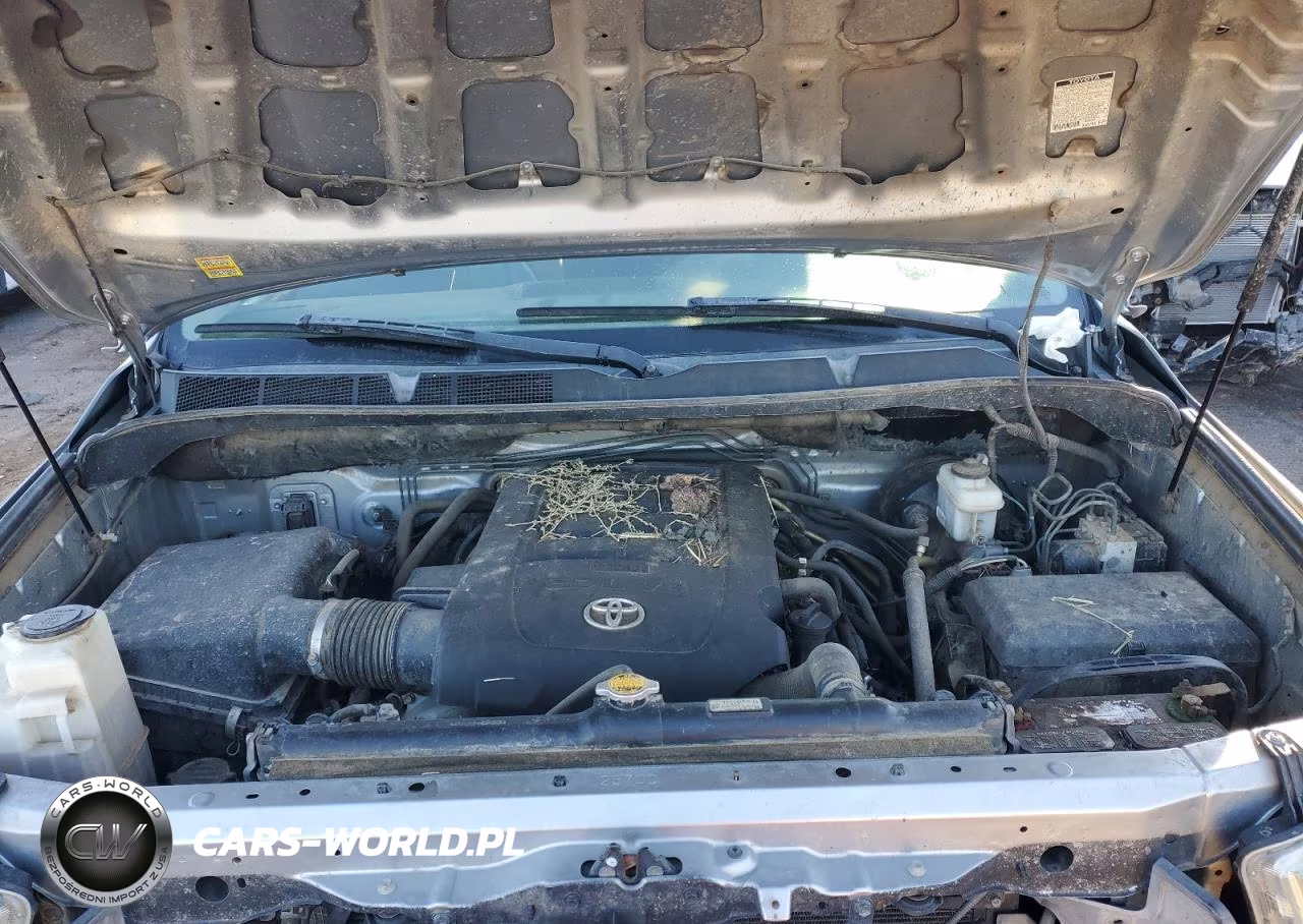 2011 Toyota Tundra Double Cab Sr5 VIN:5TFUW5F15BX194483 - 11