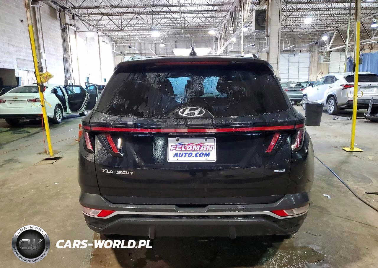 2023 Hyundai Tucson Sel VIN:5NMJBCAE5PH187952 - 6