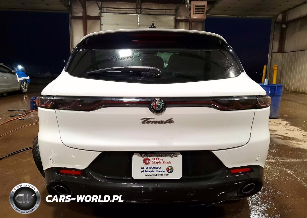 2024 Alfa Romeo Tonale Veloce VIN:ZASPATDW5R3035872 - 6