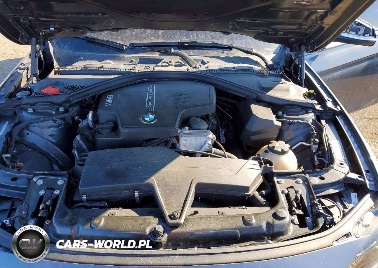 2015 BMW 328 Xi Sulev VIN:WBA3B5C53FP653902 - 11