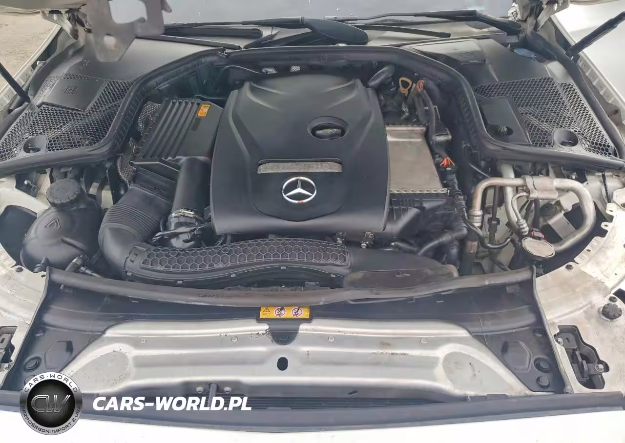 2018 Mercedes-Benz C 300 VIN:55SWF4JB9JU258583 - 11