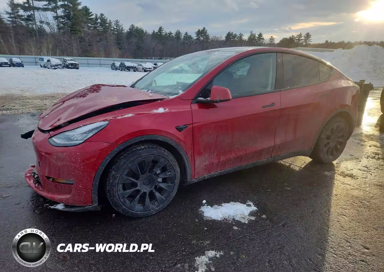2021 Tesla Model Y