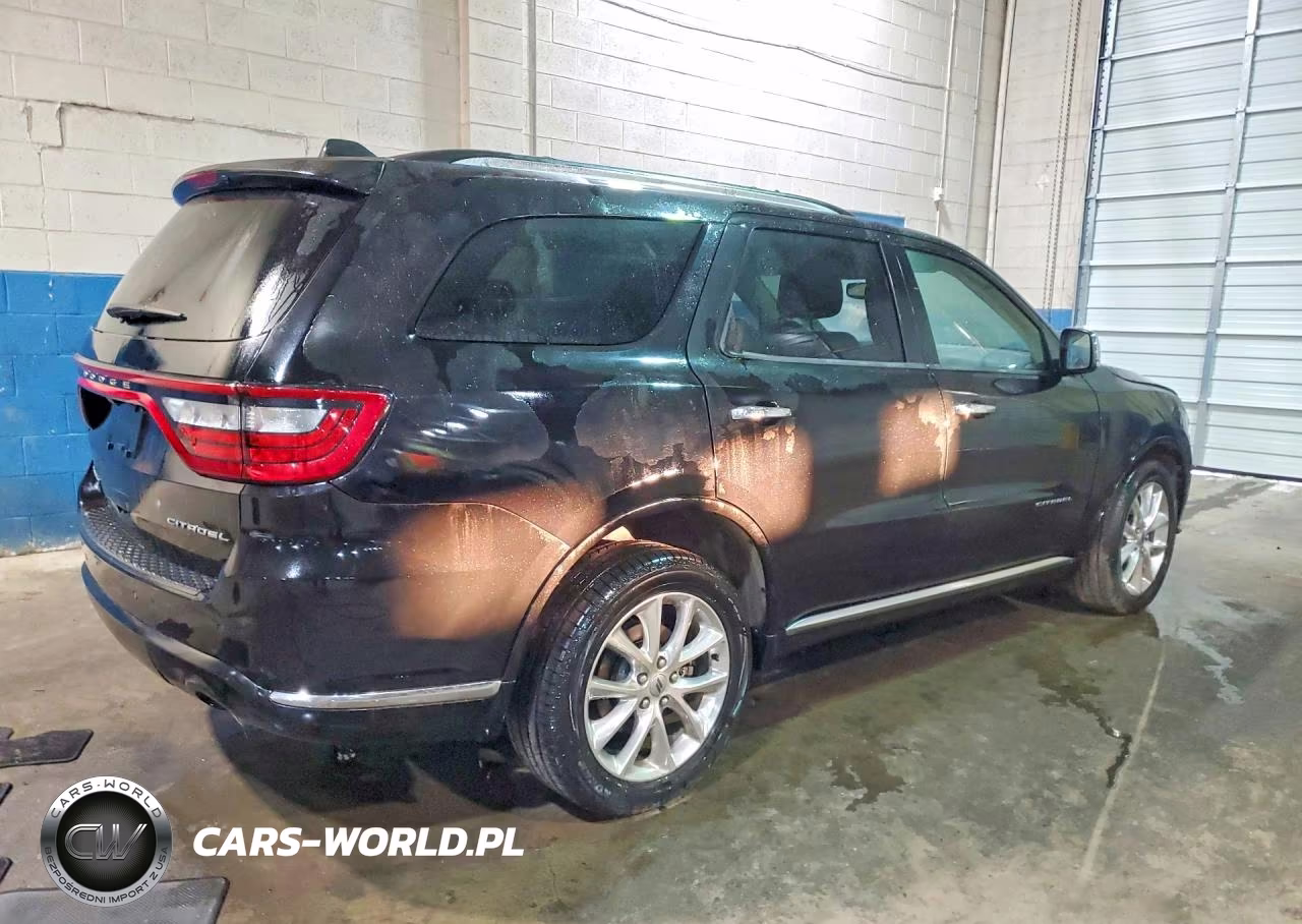 2019 Dodge Durango Citadel VIN:1C4RDJEG7KC644460 - 3