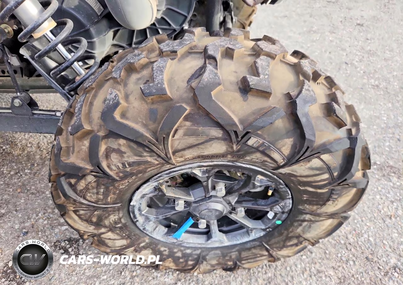 2025 Pola Rzr - Utility Vehicle VIN:3NSNEE998SF046443 - 9