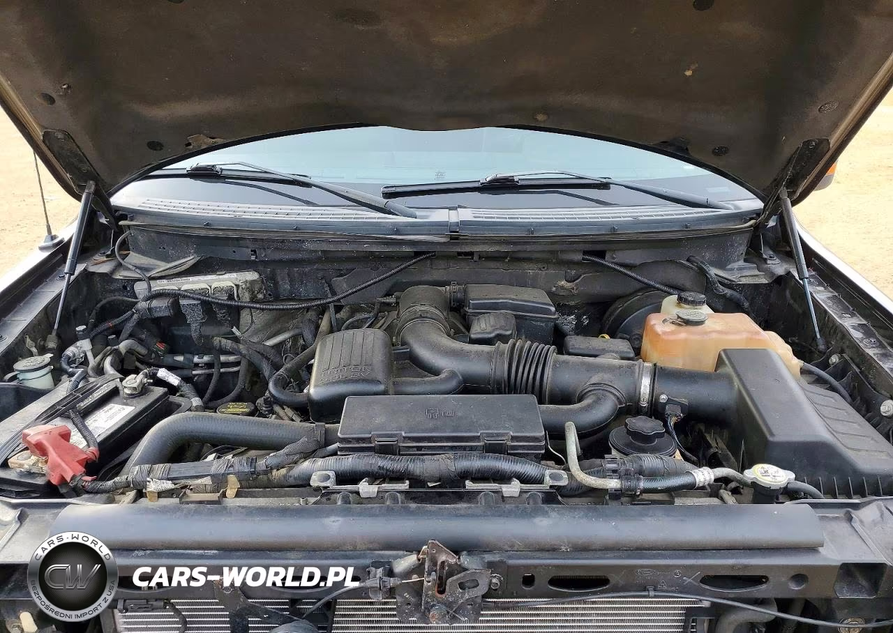 FORD F150 SUPER VIN:1FTPW14V69FA60139 - 11