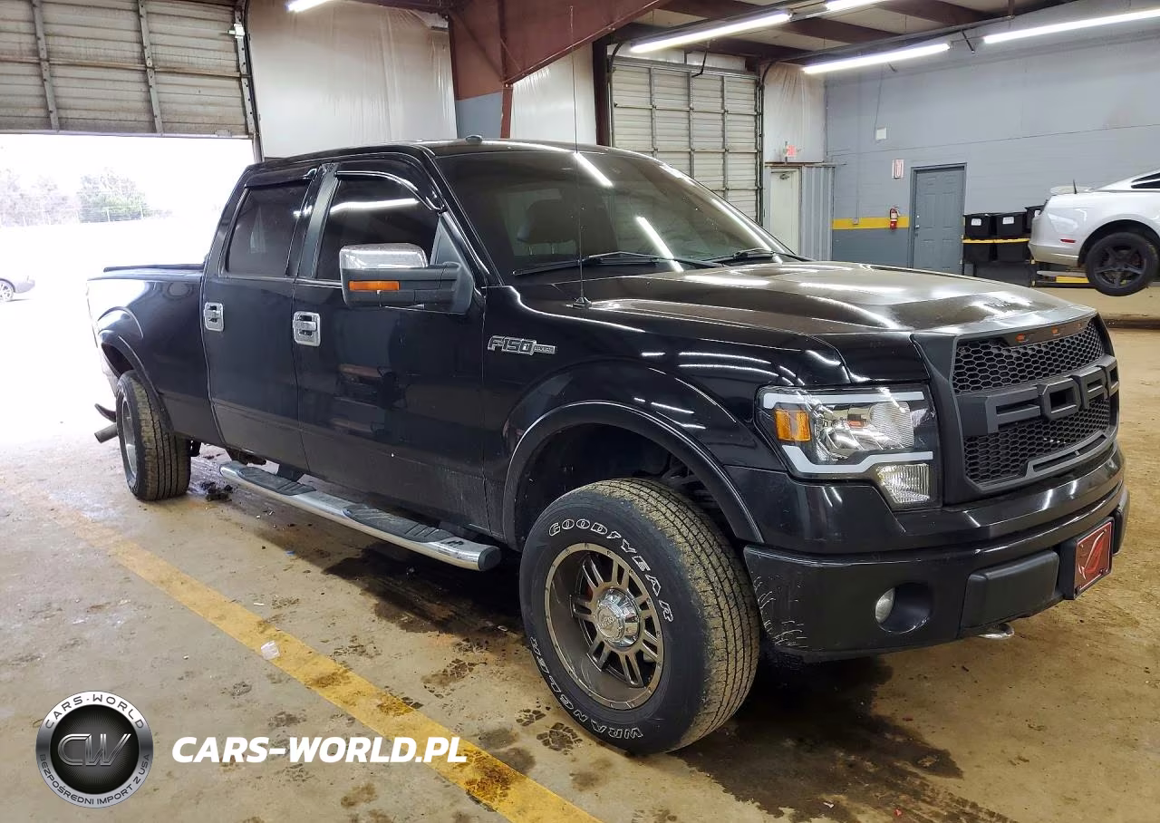 FORD F150 SUPER VIN:1FTPW14V69FA60139 - 4