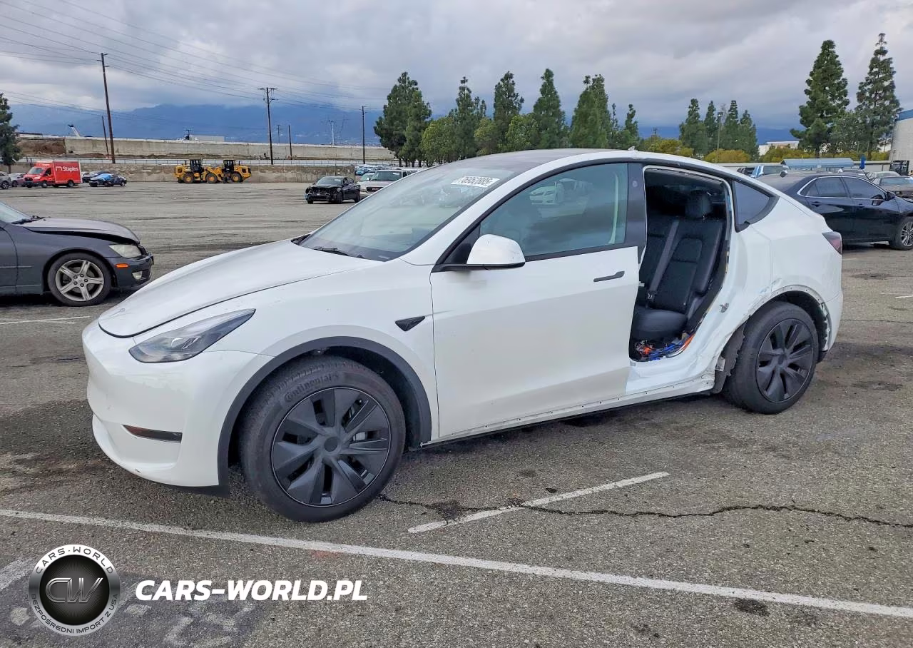 2025 Tesla Model Y