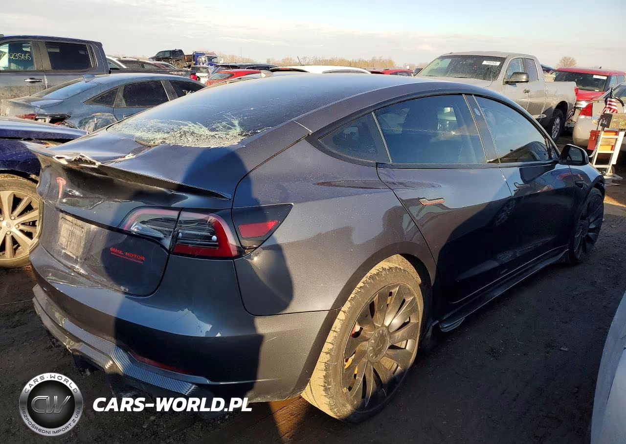 2023 Tesla Model 3 VIN:5YJ3E1ECXPF620115 - 3