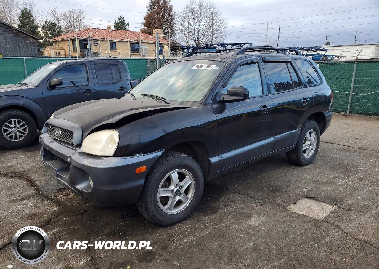 2004 Hyundai Santa Fe Gls – zdjęcie 1 z 12