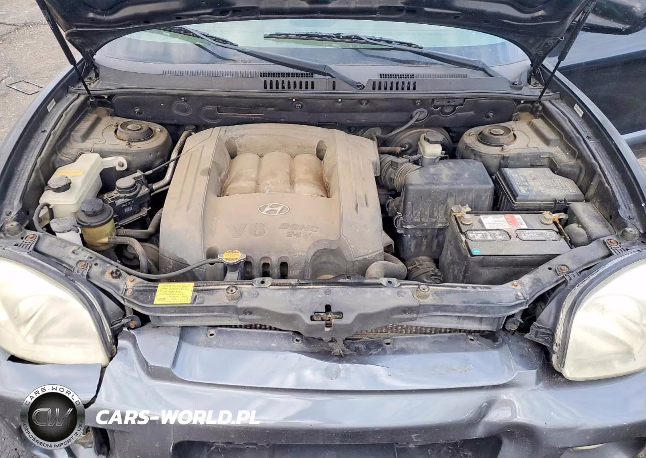 2004 Hyundai Santa Fe Gls VIN:KM8SC73D94U588157 - 11