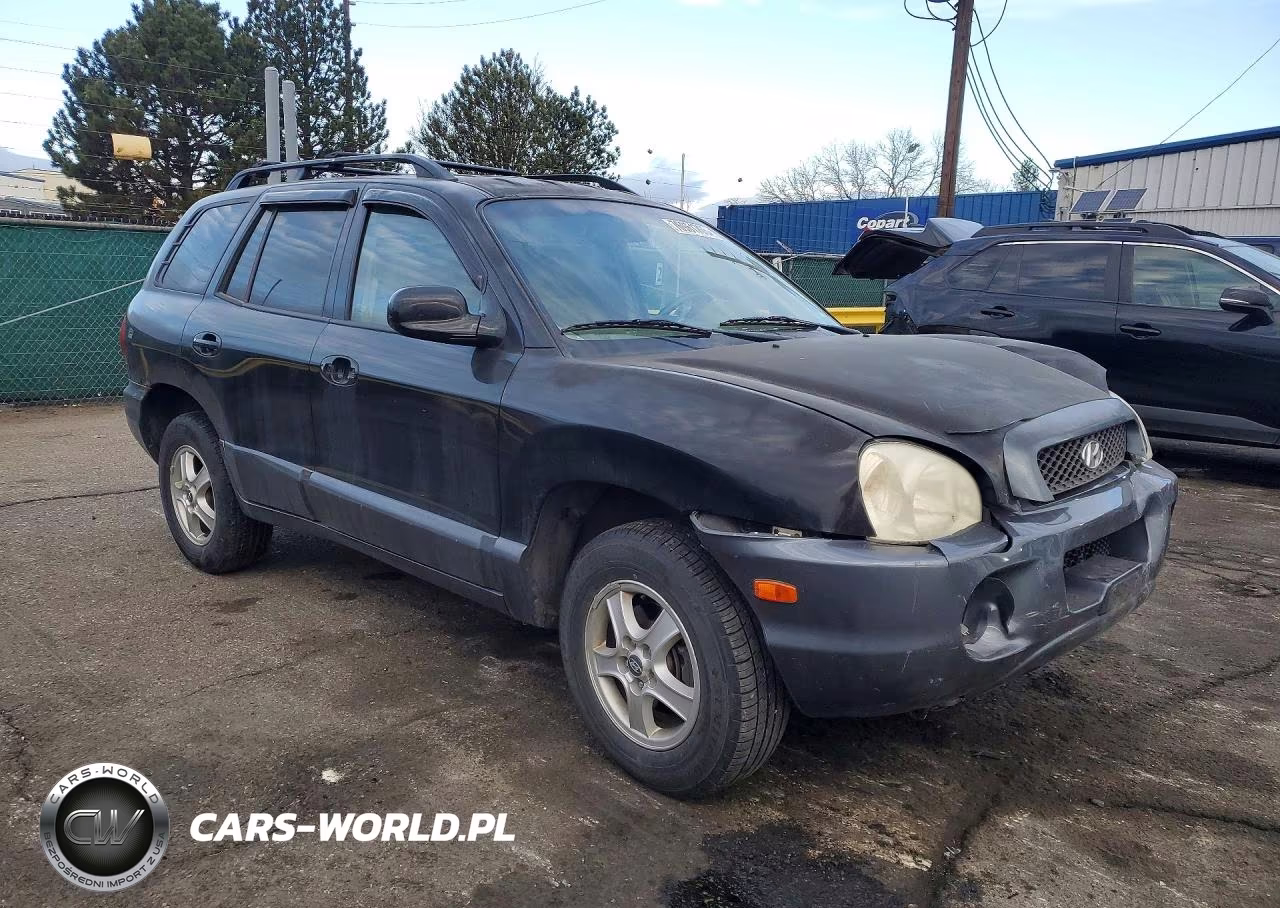 2004 Hyundai Santa Fe Gls VIN:KM8SC73D94U588157 - 4