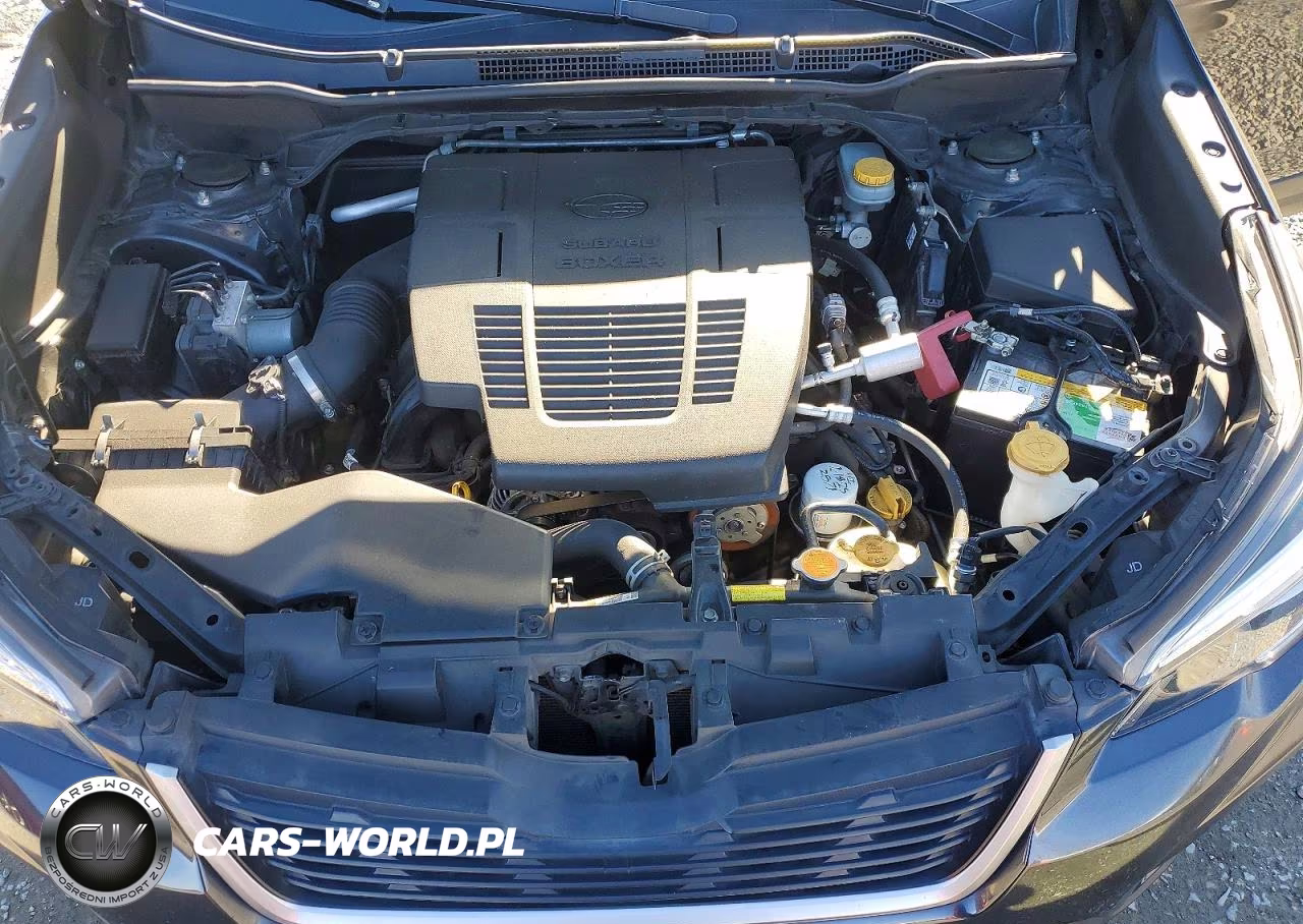 2019 Subaru Forester Premium VIN:JF2SKAGC5KH488411 - 12