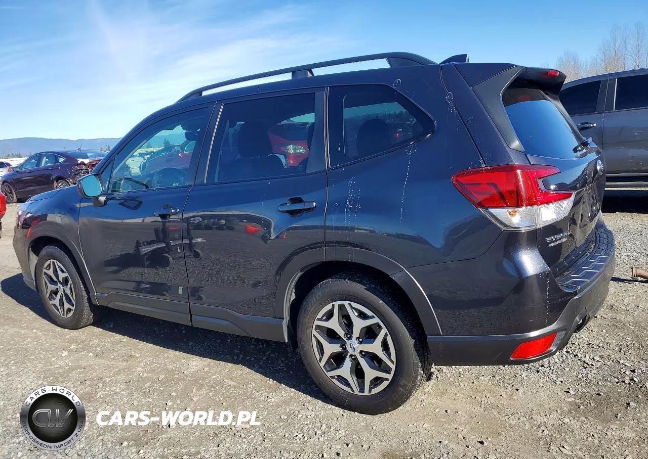 2019 Subaru Forester Premium VIN:JF2SKAGC5KH488411 - 2