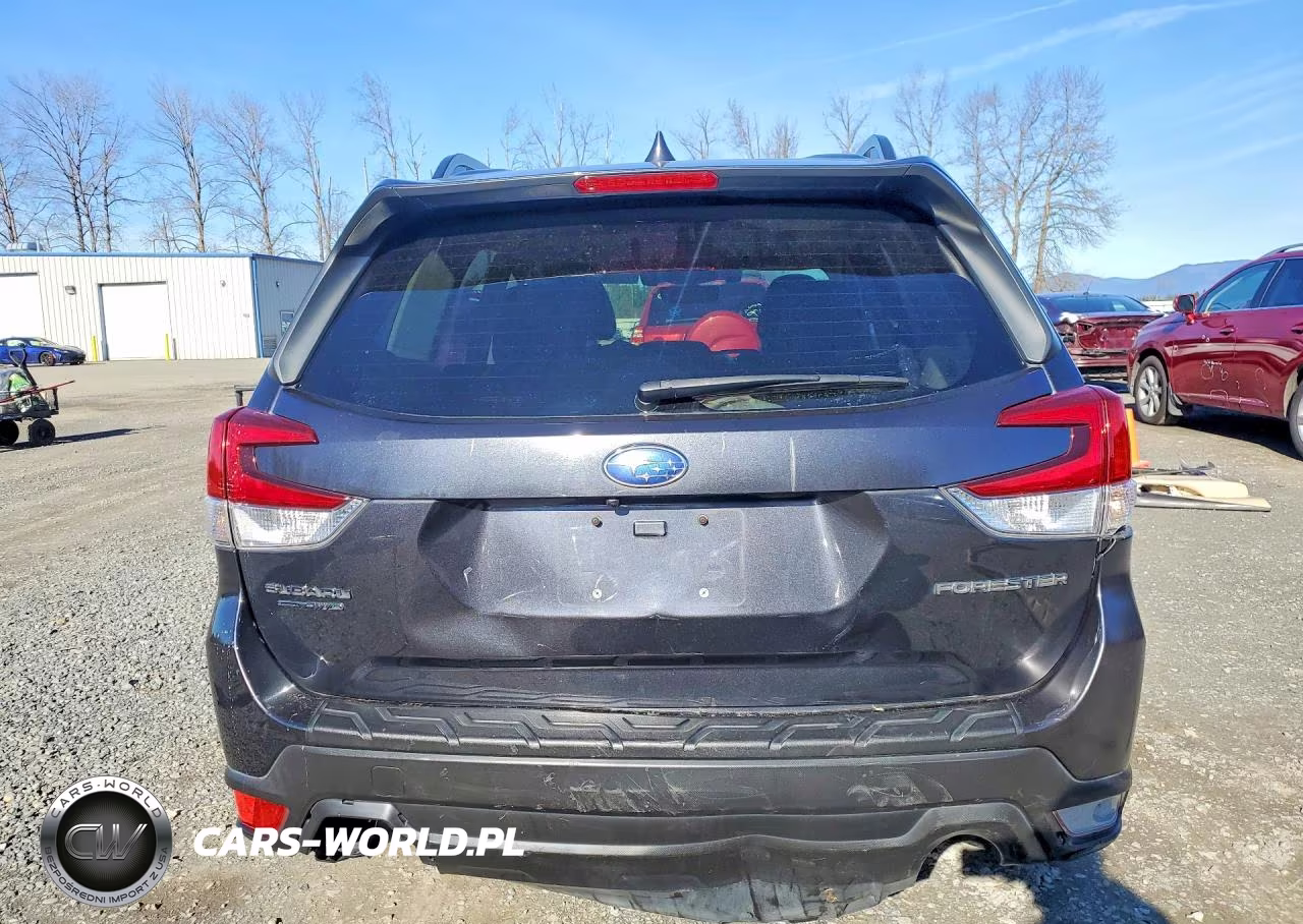 2019 Subaru Forester Premium VIN:JF2SKAGC5KH488411 - 6