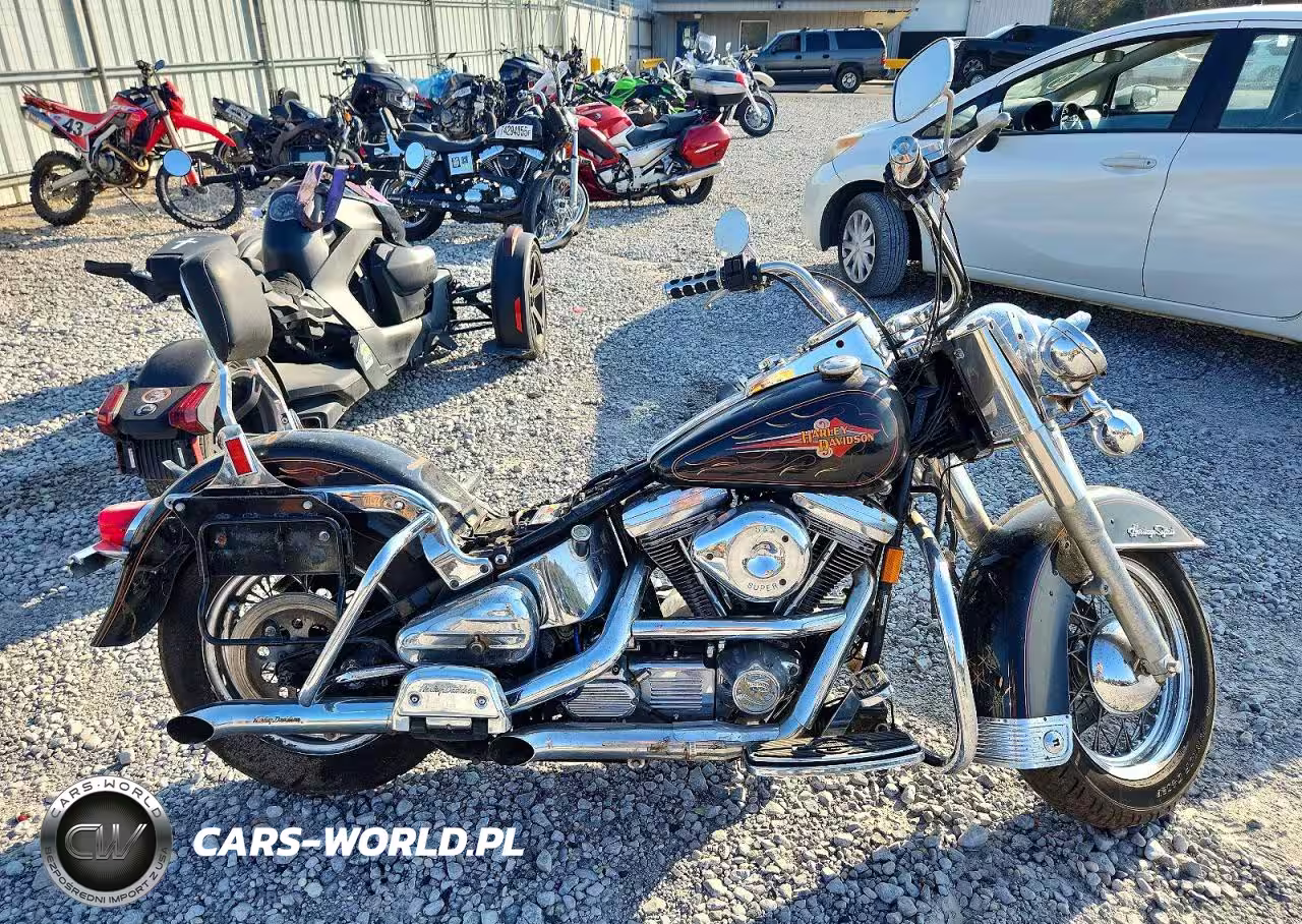 1993 Harley-Davidson Flstc