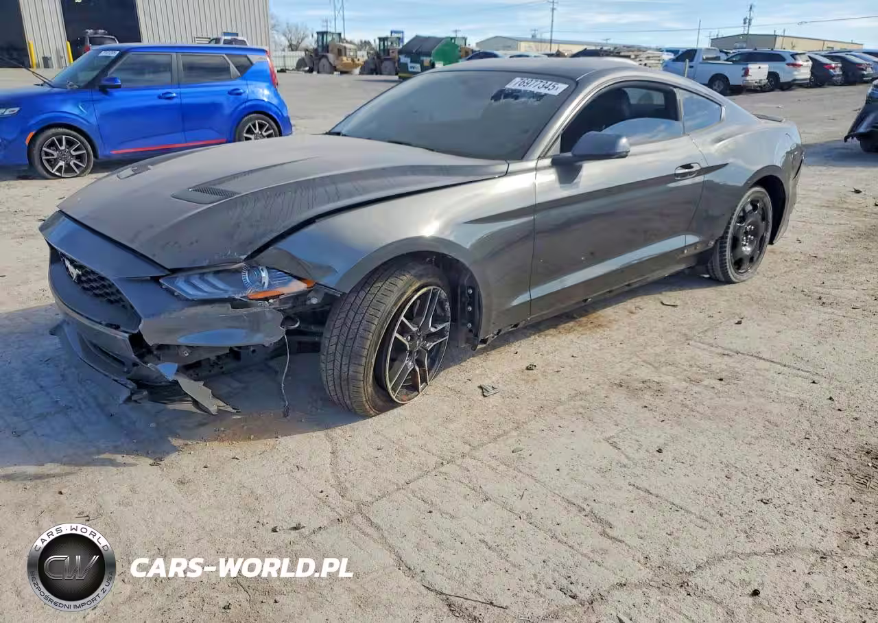 2019 Ford Mustang