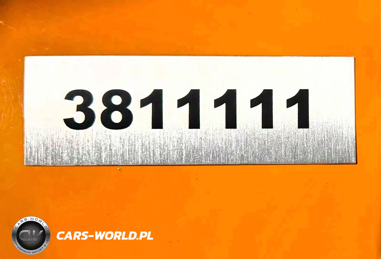 2025 OTHER HEAVY EQUIPMENT EXCAVATOR VIN:3811111 - 9
