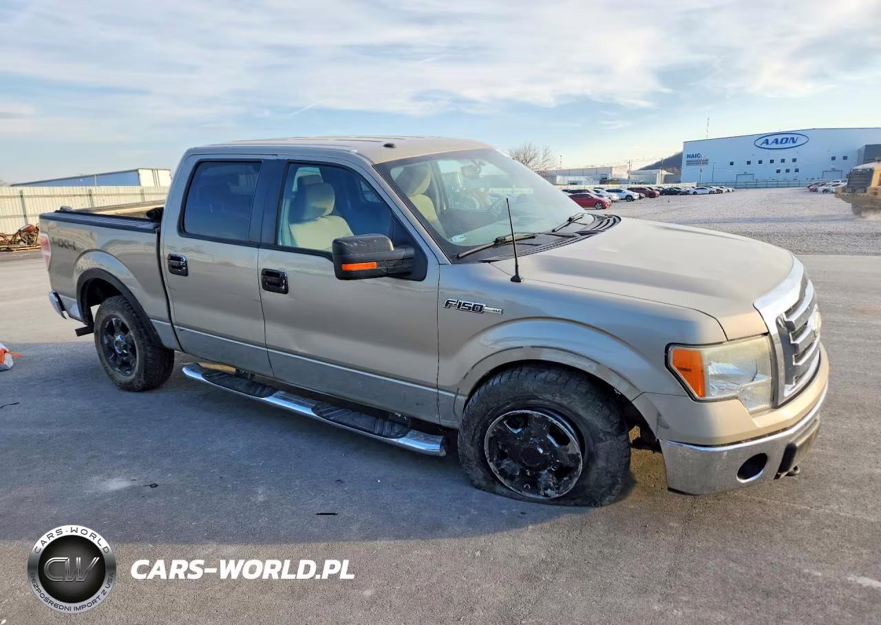 2009 Ford F150 Supercrew VIN:1FTPW14V09KC94705 - 4