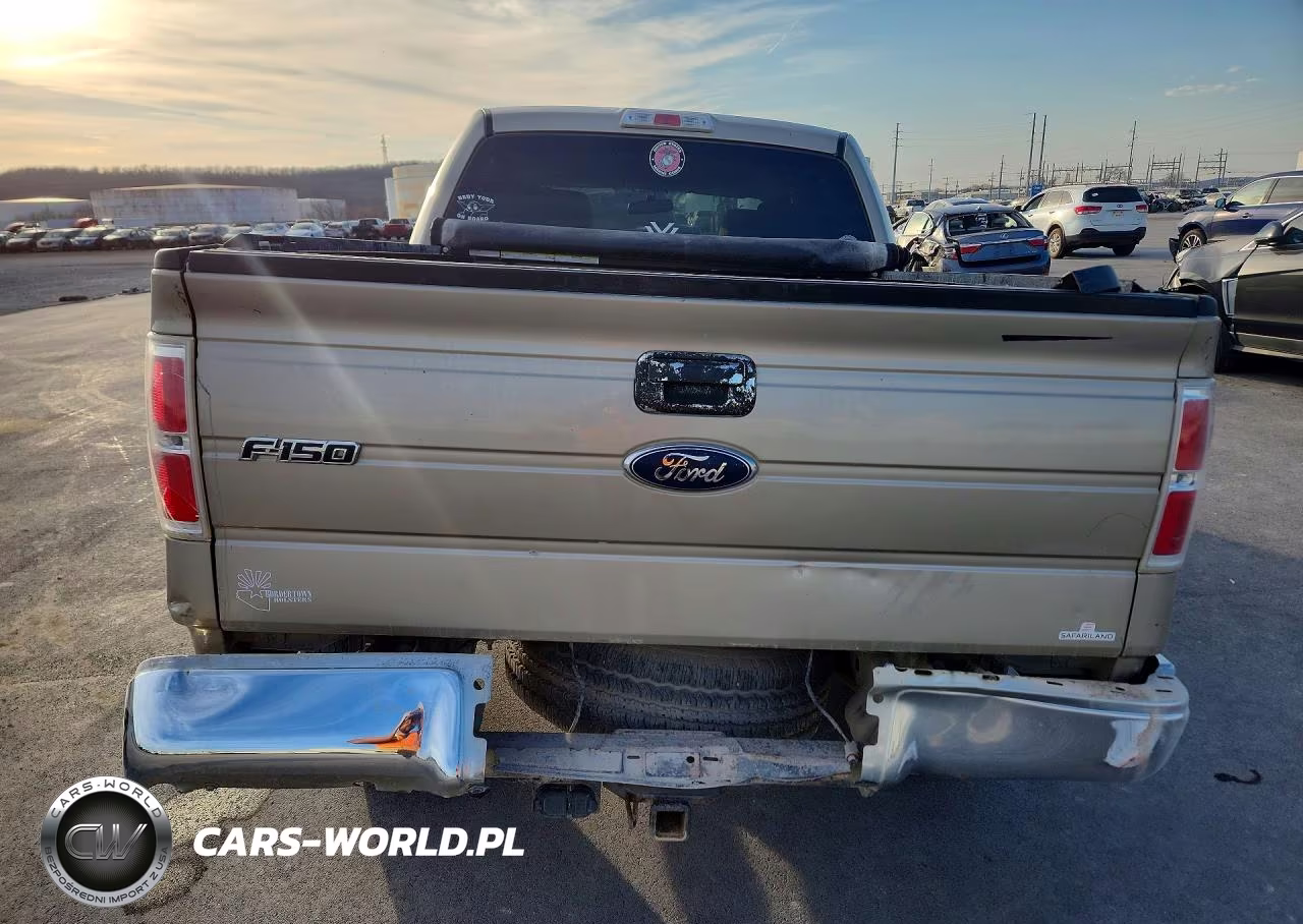 2009 Ford F150 Supercrew VIN:1FTPW14V09KC94705 - 6