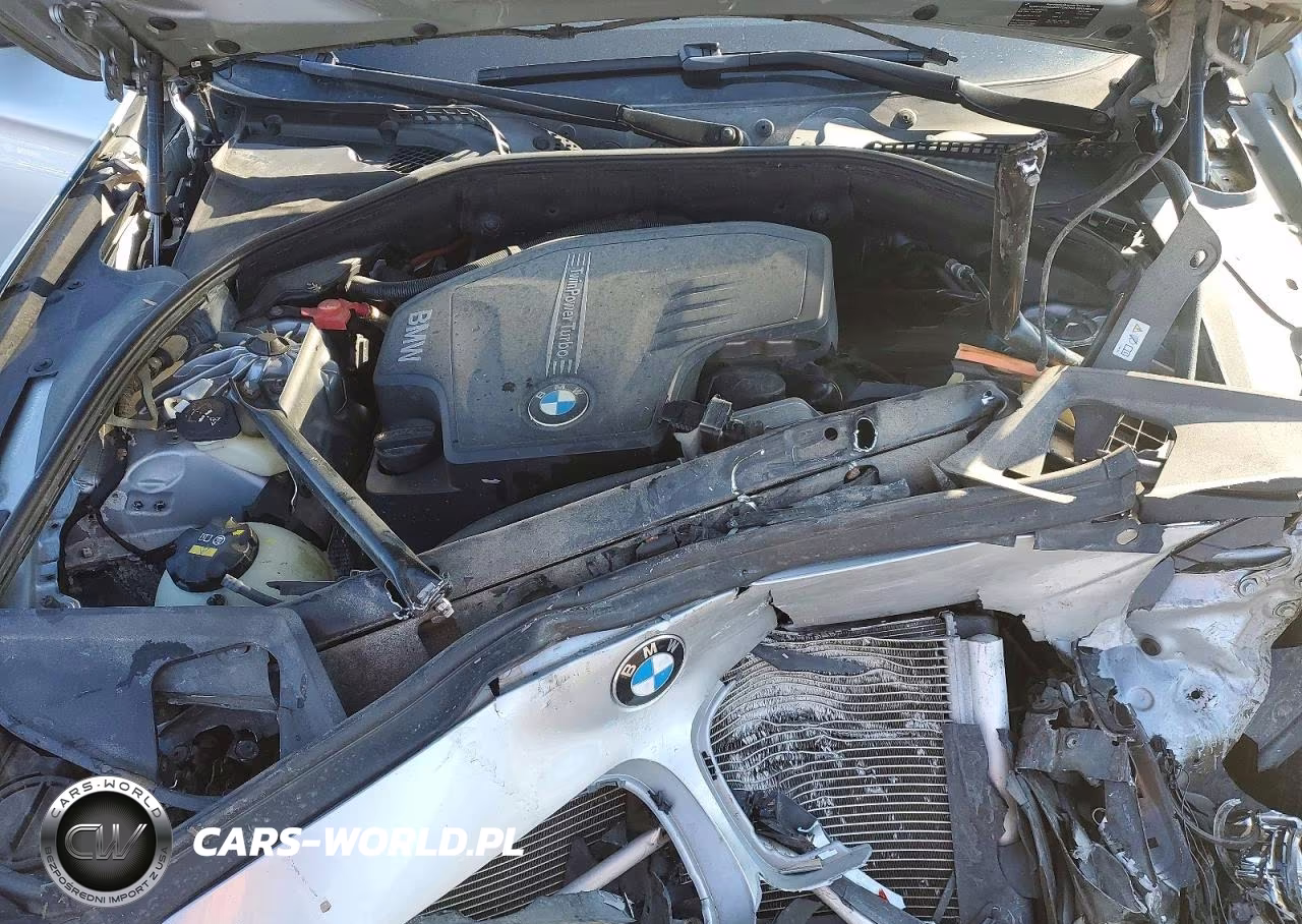 2015 BMW 528 Xi VIN:WBA5A7C52FD626909 - 11