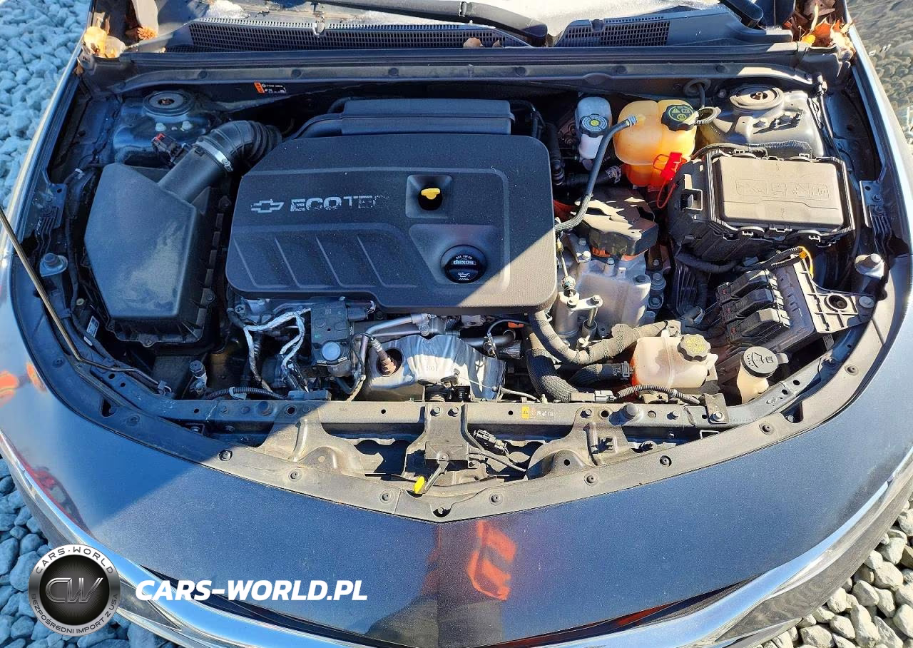 2019 Chevrolet Malibu Hybrid VIN:1G1ZF5SUXKF149219 - 11