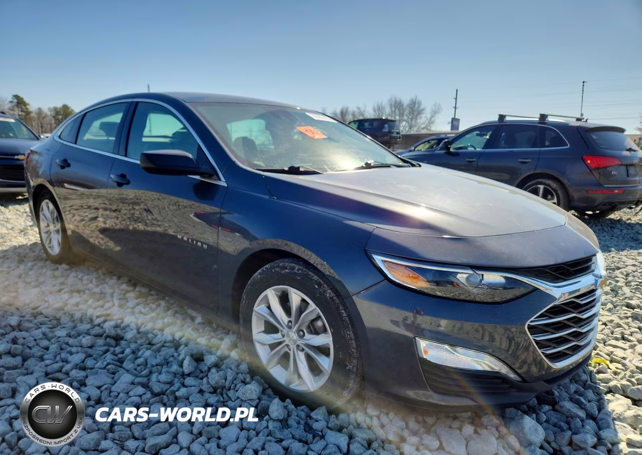 2019 Chevrolet Malibu Hybrid VIN:1G1ZF5SUXKF149219 - 4