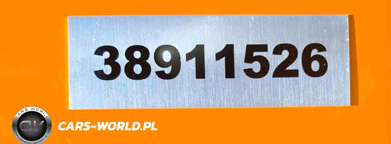 2025 OTHER EXCAVATOR VIN:38911526 - 9
