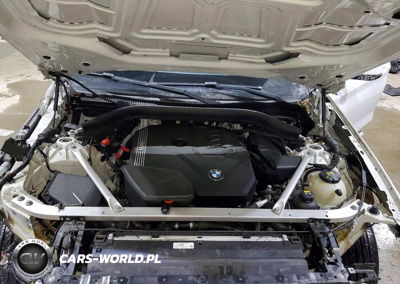 2022 BMW X3 xDrive30I VIN:5UX53DP05N9K59319 - 12