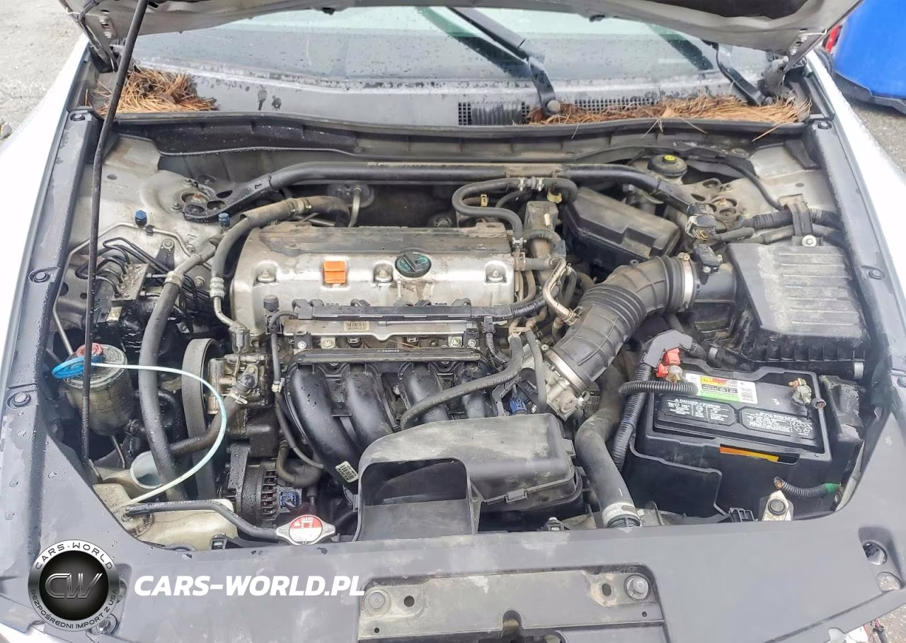 2009 Honda Accord Lx VIN:1HGCS12329A002863 - 11