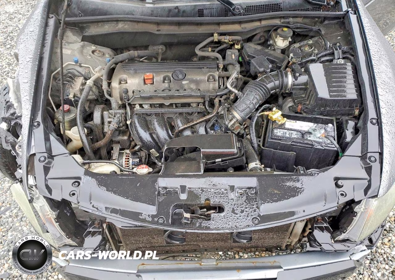2010 Honda Accord Lxp VIN:1HGCP2F48AA165936 - 11