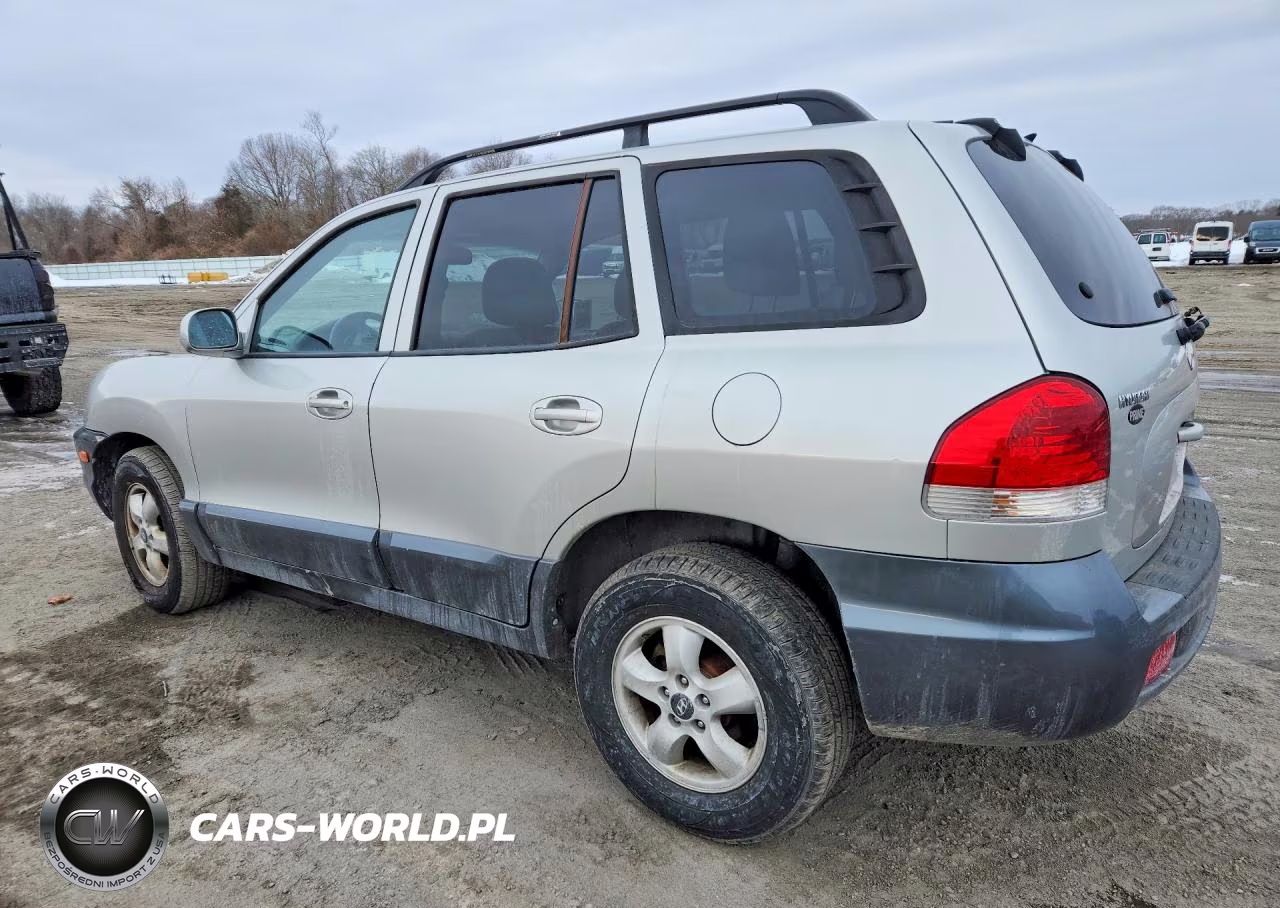 2005 Hyundai Santa Fe Gls VIN:KM8SC73E95U880885 - 2
