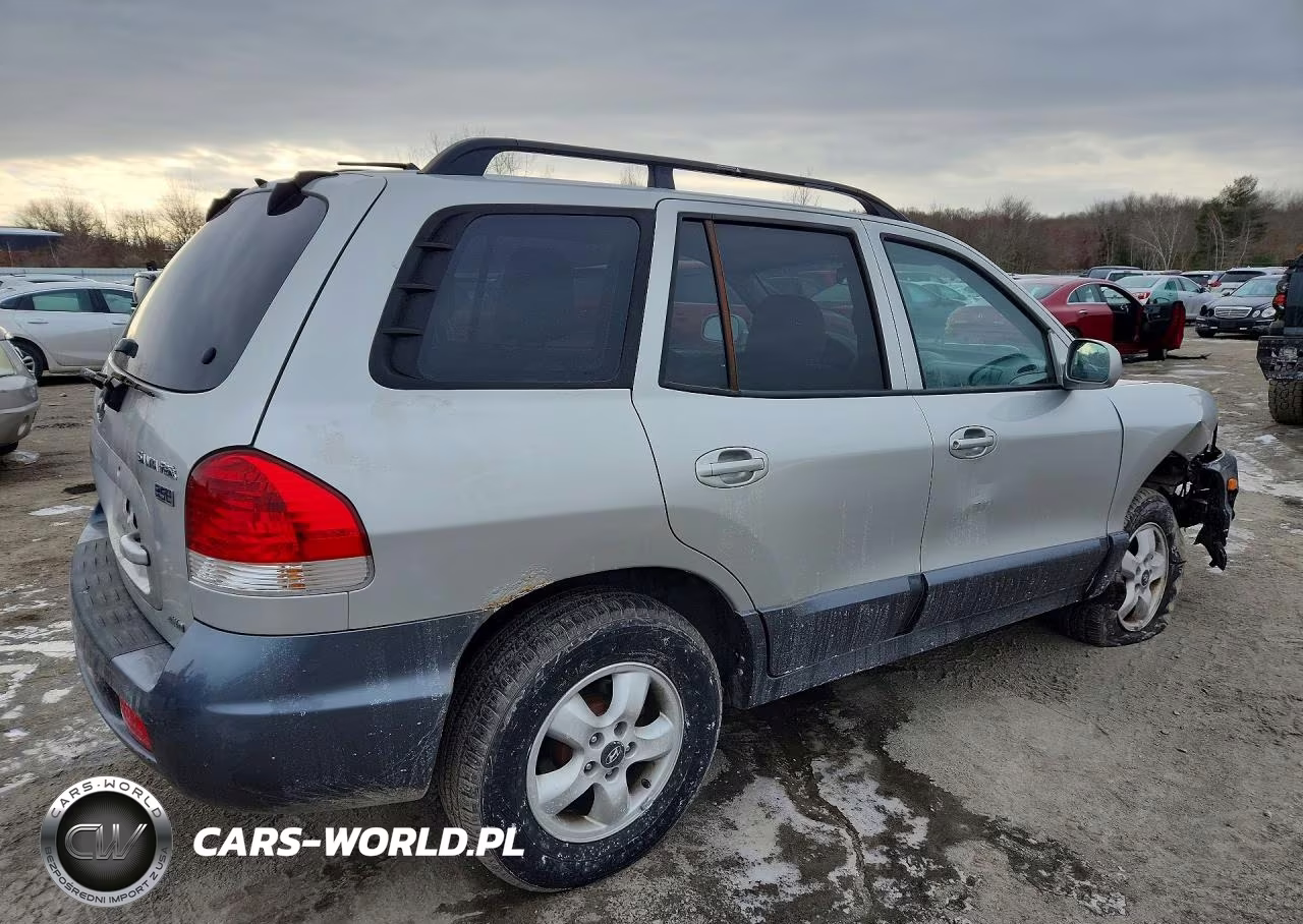 2005 Hyundai Santa Fe Gls VIN:KM8SC73E95U880885 - 3