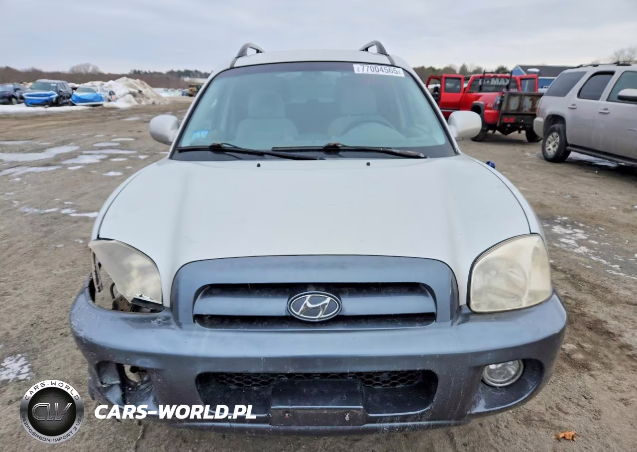 2005 Hyundai Santa Fe Gls VIN:KM8SC73E95U880885 - 5