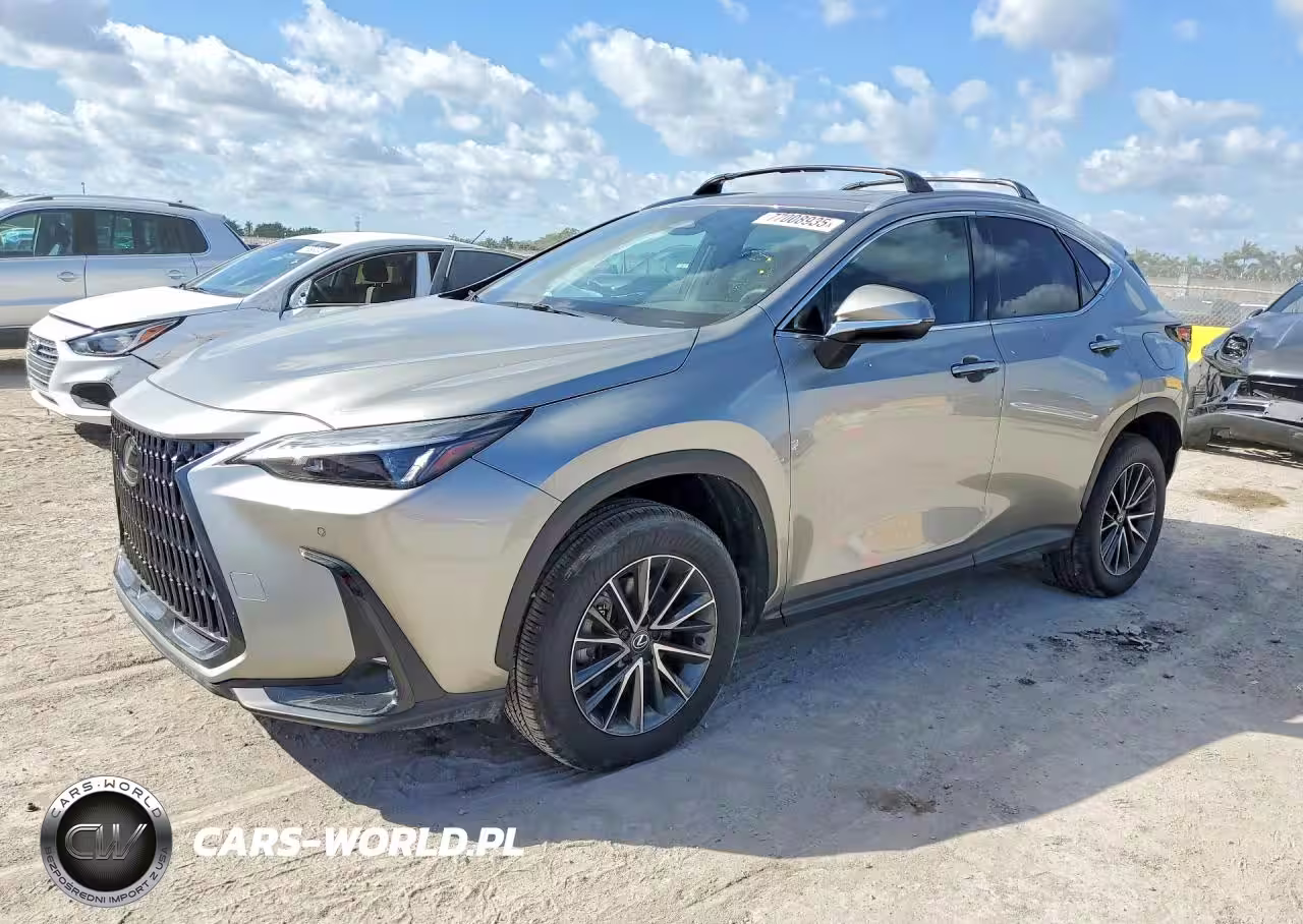 2025 Lexus Nx