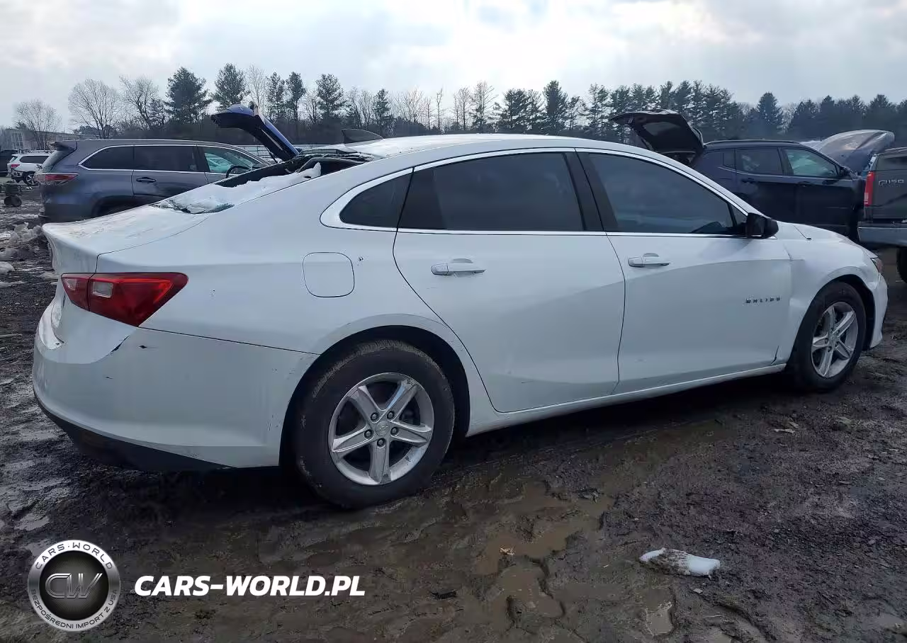 2020 Chevrolet Malibu Ls VIN:1G1ZB5ST2LF157738 - 3