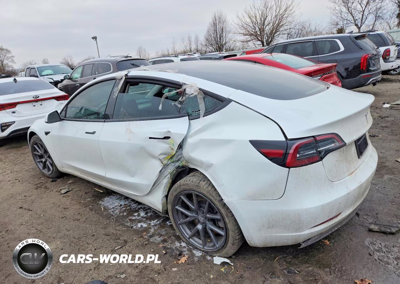2023 Tesla Model 3 VIN:5YJ3E1EAXPF623353 - 2